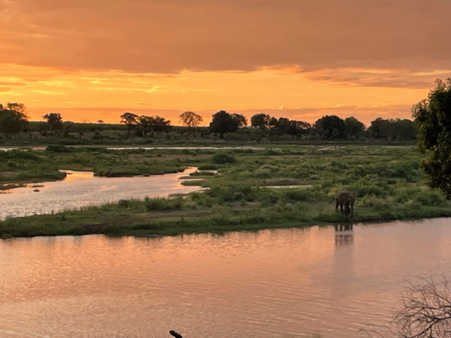 Abendstimmung mit Haustier