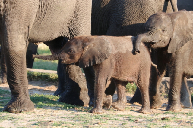 ... auch der Kleine will was ...