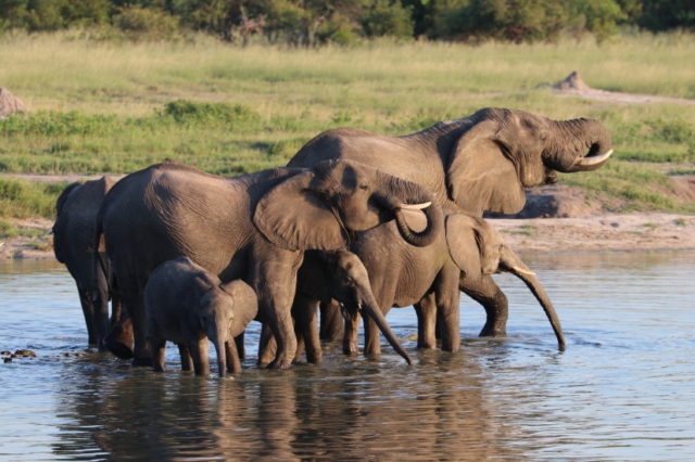 ... welch Genuss ...