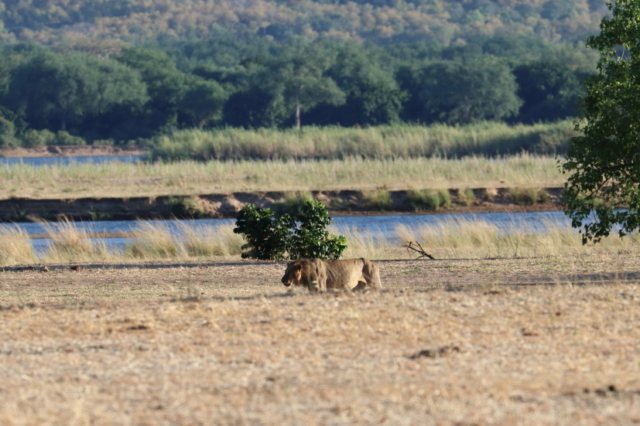 ... zog ab, war wohl auch hungrig