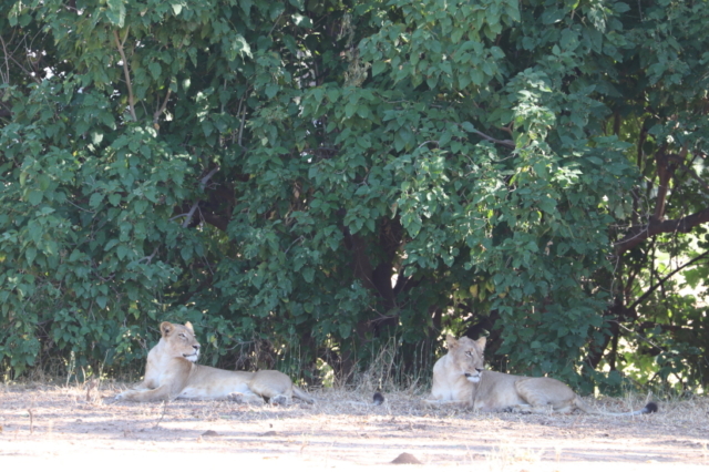 ... hier stimmte der Abstand