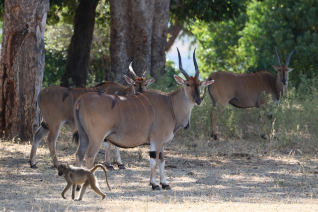 ... für einmal völlig entspannt
