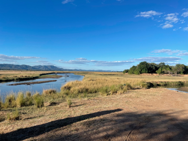 Mana Pools am Zambezi