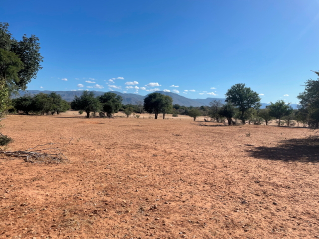 Ende der Regenzeit und bereits dürr