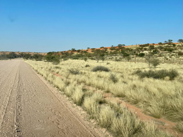 ... mit roten Dünen ...