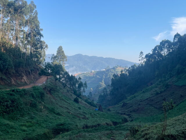 ... Richtung Rushaga, im Hintergrund der Bwindi